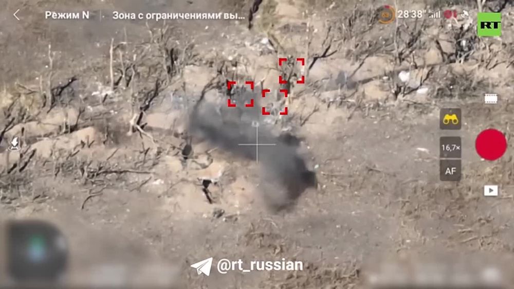 ���������. ���� ������ ��������: ������ 40-� ������� �������������� ����� ��������� ������ �����������, ������� ���������� ����� � ���� �� ����� ��� �� �������������� (���)