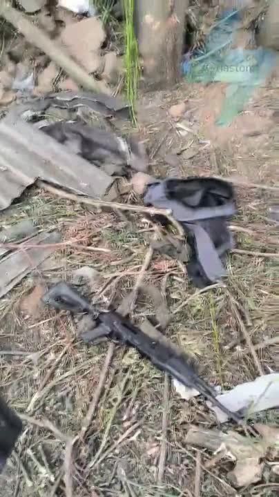 ������ � ���� ����� �� ������� ������ �������������� ��� � ������ ��������, ���������� �����������