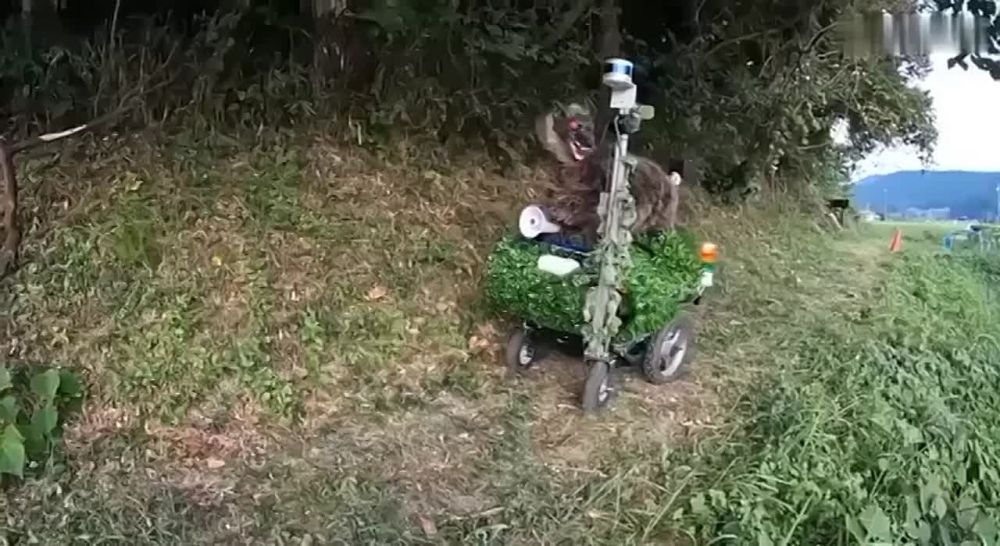 �������� ���-���. ����� ���� ������ � ���� ���. ������� ����� �� ���������� ��������