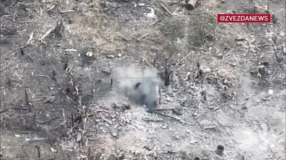 ��������� �������: ���������� ����� ������������� ����� �� ������� ������� ��������