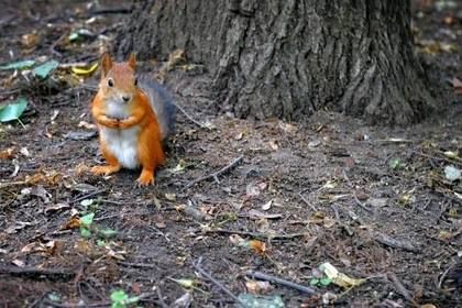 � ��� ���������� 20 ����� �������� ���� ��-�� ������ ��������