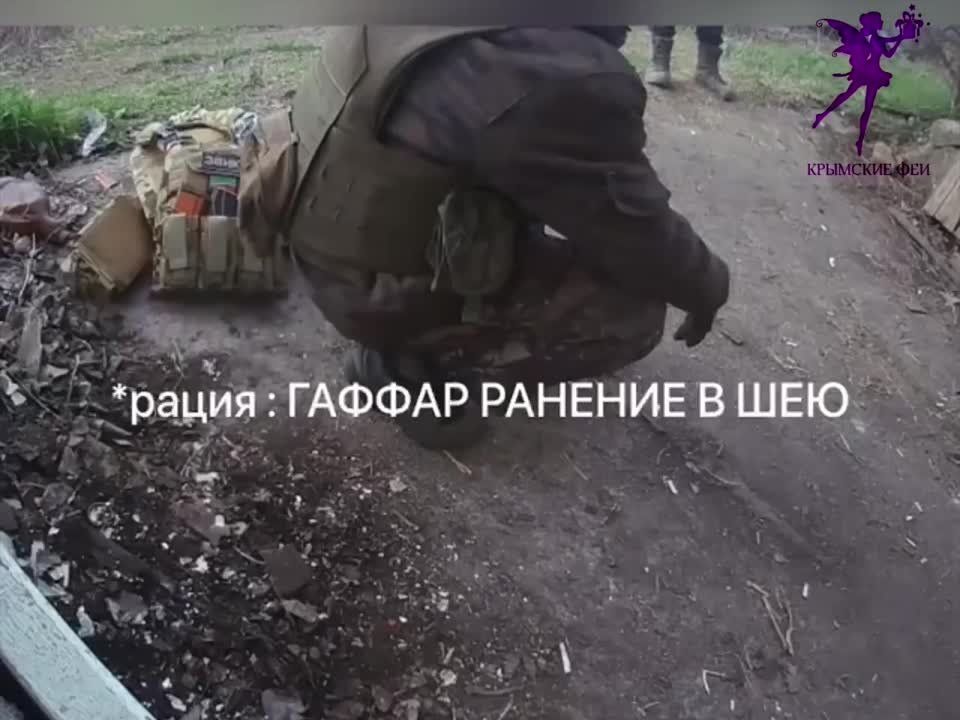 ��� ������: ���������� �����������, ����� Z. �������� ��� ���������� ����� ����� ������