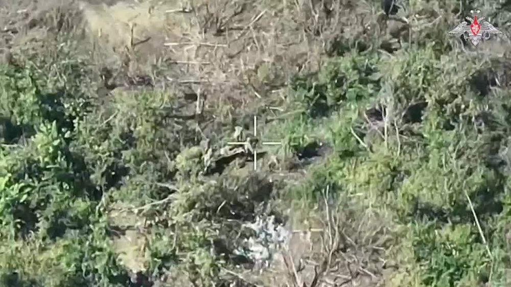 ������� ���������: ������������ ������ ����������� ����� ������� ���� �� �������� �������� ��� � ������ ����������� (���)