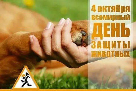 ������� ������� �������������� ���������� ������ �� ������������� ������������ ������ ������� ������" ������� �������...