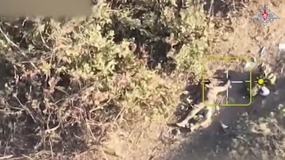 ������� �������: ���������� ����� ������ ����������� �� �����* ��� �����������