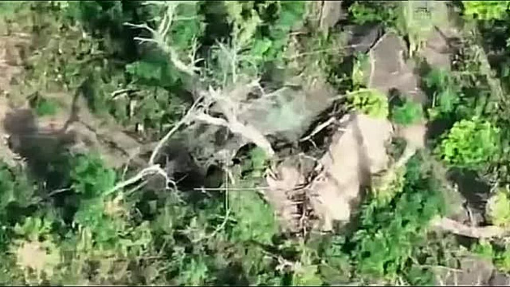 ���������� �������� ����������� ��������� ����� ��� � ��������, ������� �������� ������� � �������� ���������� �������