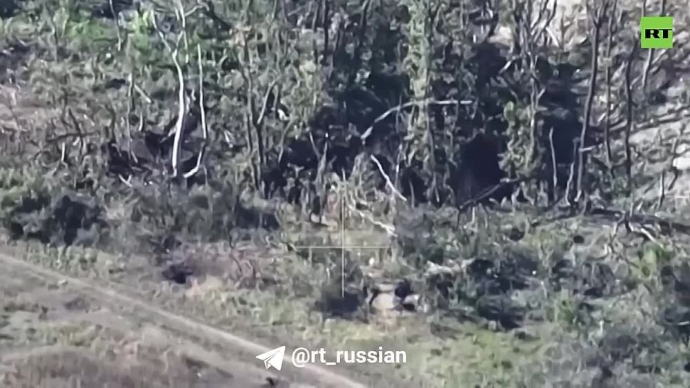 FPV-����� ����������� ������� ���������� ������� 80-� ����� ��� ��� ���������� (���)