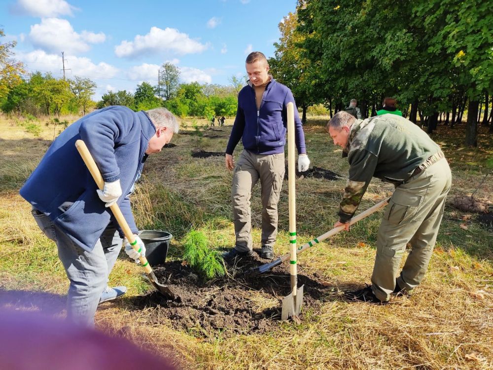 �������� ������: ������� �������� ������������ ����� ���������, ������� ������� ������� � ��� ����������