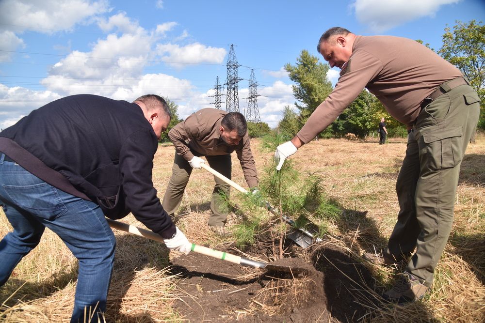 ����� ������� � �������� ����� �� �������� �������� ������� ����� � ��������� ����� ��. ���������� ����������