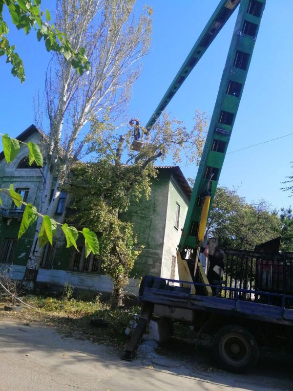 ������� ������: ������� ������������ �������������� ���������� ����������� ������������� ������ ������� "�����������...