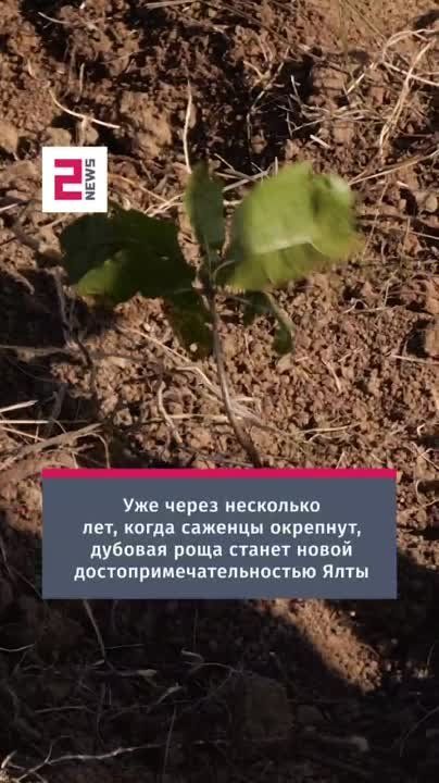 ������� �������: ������ ����� � ��� ����� ����� ���. ���������� ���� #�������� ��������� �� 15 000 ��������: ������� ����� ����� � ������ �������� ������, � ����� ������� �������� � �������� � ���� �� ��������