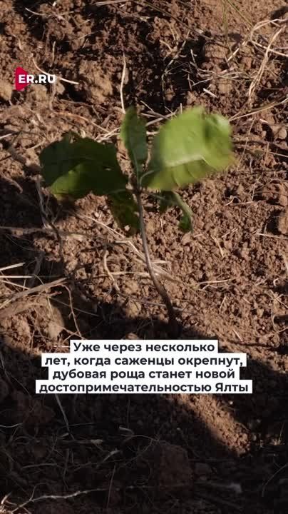����� ��������� ��� ����� ����� ���. ��������� ������ ������ �������� 15 ����� ������� ���� �� ���������� ��������