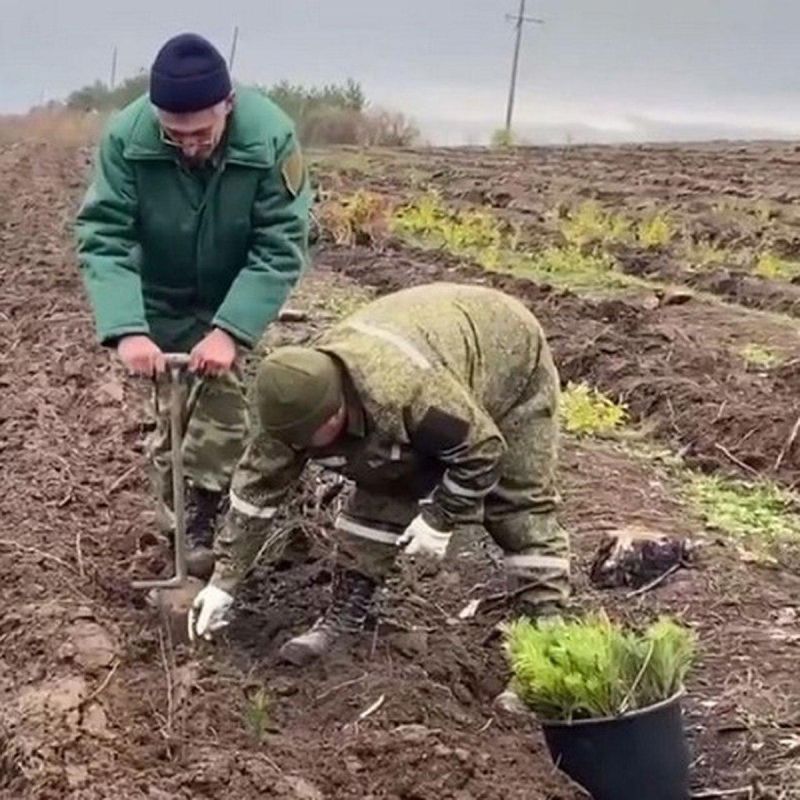 ��������� �����: ���������������� �������� ��������-����� ������� ������������ ��� � ��������