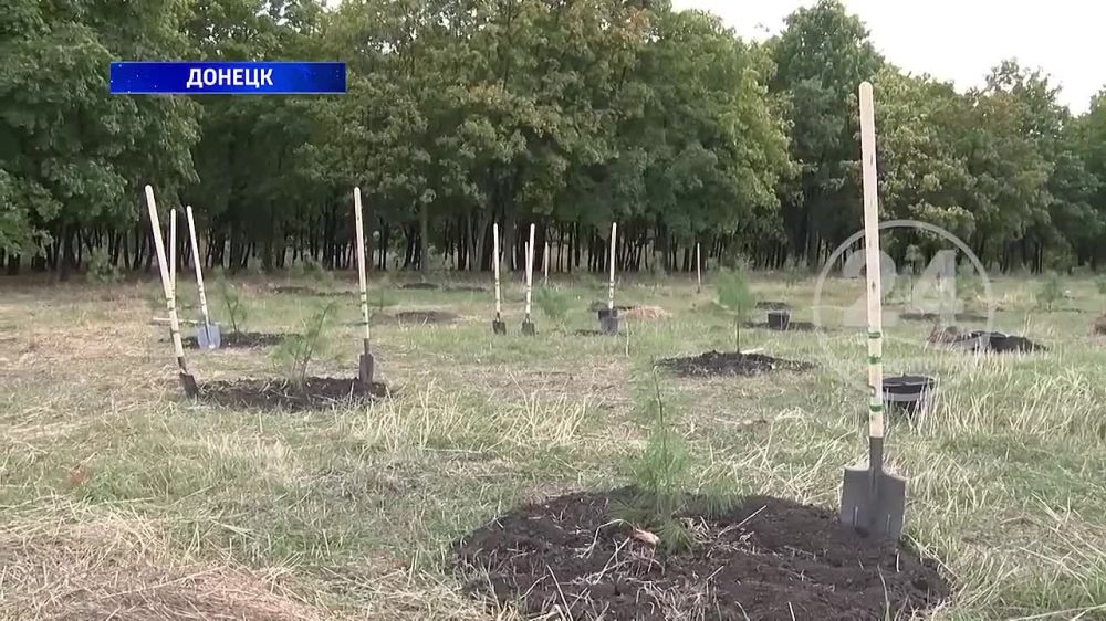 ����� ������� ������ ������� � ������� �������� � ����� ����� �. ����������