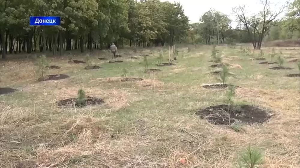 � ����� ����� ���������� ���������� �������� 300 �������� �����, ����������� �� ��������