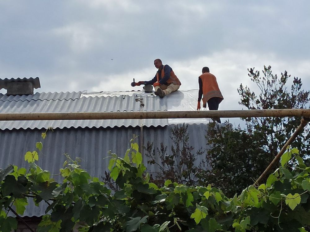 ������� ��������: ������������ ������������� �����