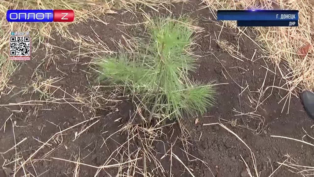 ��������� ����� �������� � ����� ��. �