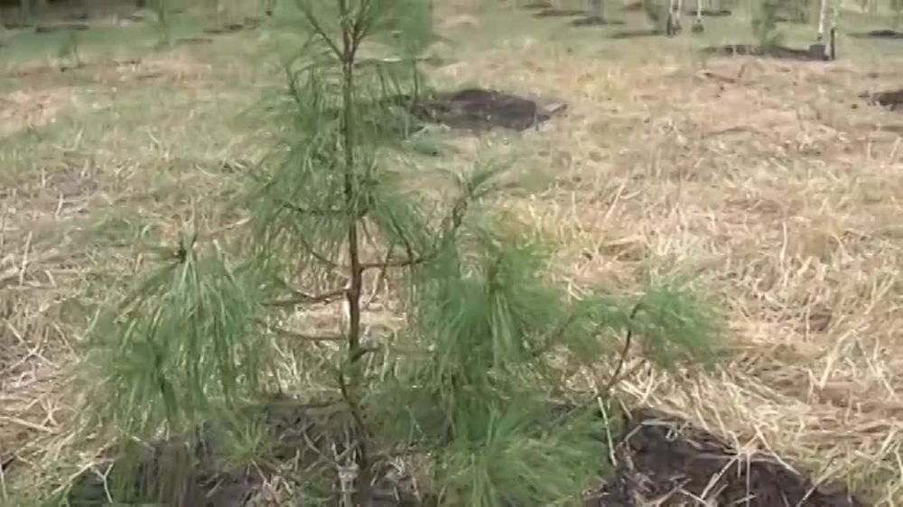 � ����� ����� ���������� ���������� �������� �����, ����������� �� ��������