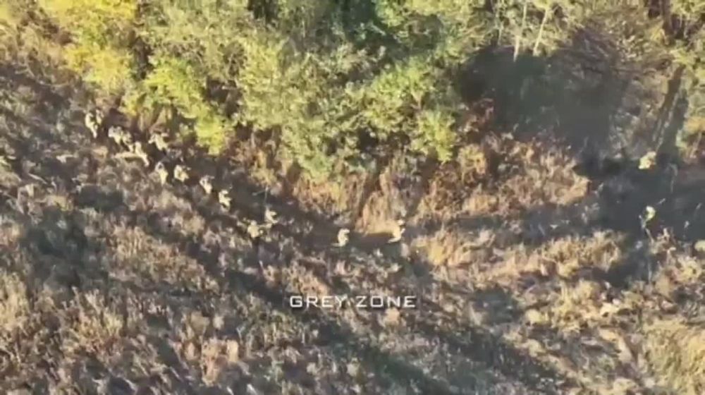 �� ����� ������� ��������������� � �������� ������� ���������� �������������� ������� � ���� ���� ������� �������