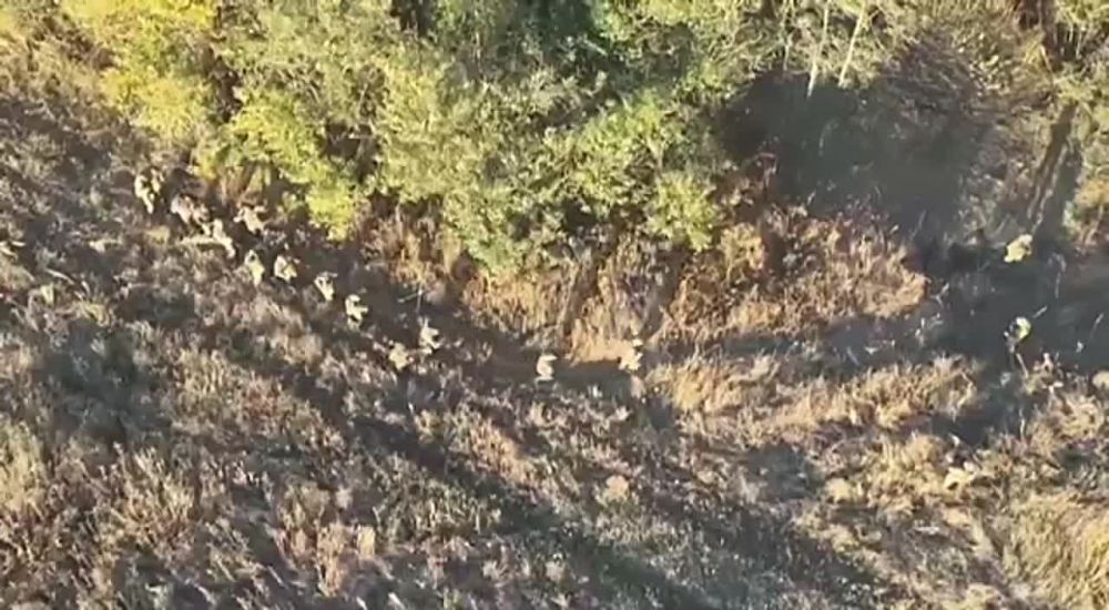 ���������� ������� ������� � ���� ���� ������� ������� ��� ��������