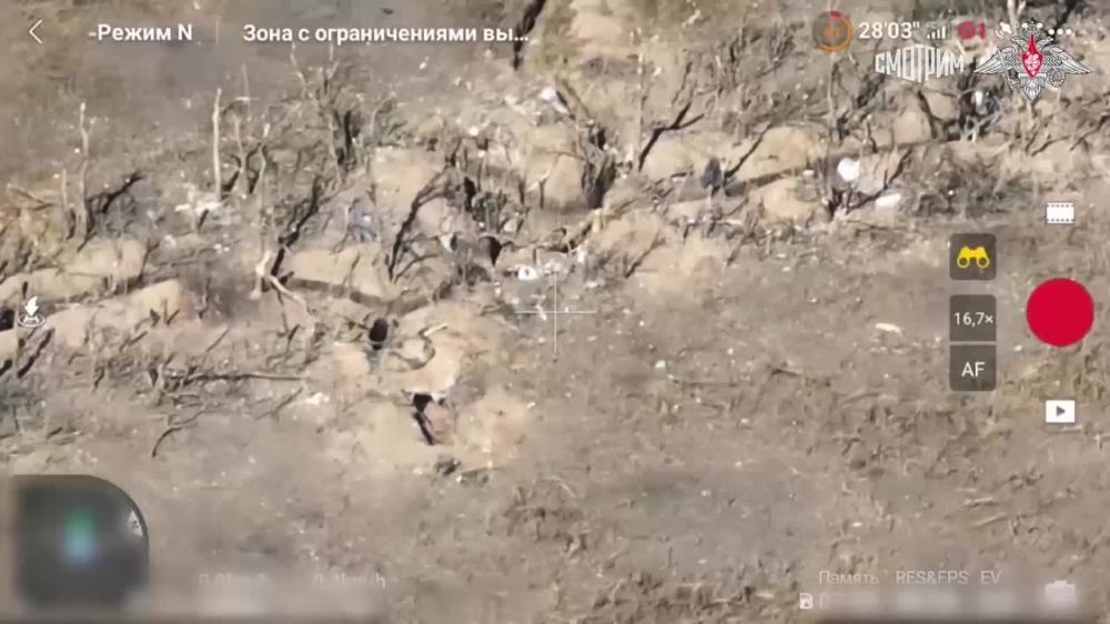 ������ ����� ���������� � ������ ����� ������ (���������) �������� 155-� ��������� ����������� ������ ������ ������� ������� ������ �������������� ����� ������� ������� � �������� ������