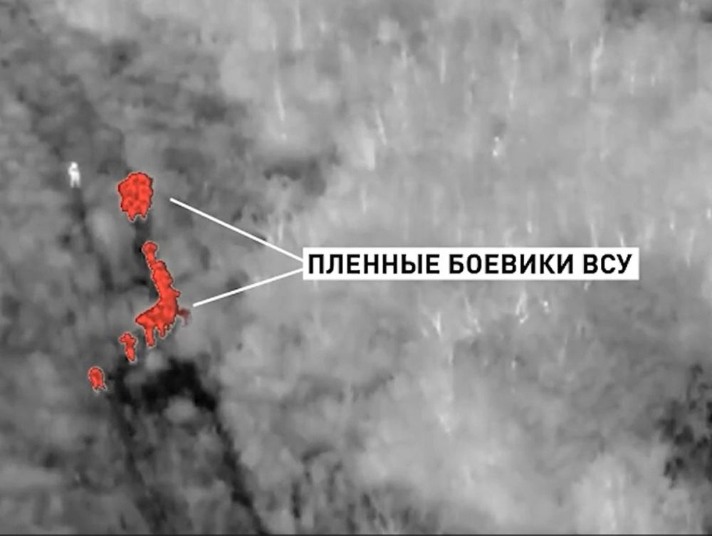 ��� ������ �������������: ����� ���, ��������� � ����, ����� �������� � ������