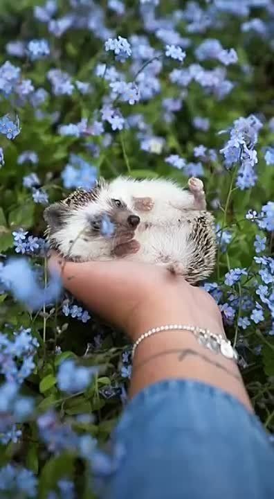 ������ ����!. � ����� ���� ��� �������! ����������� ���� �������������