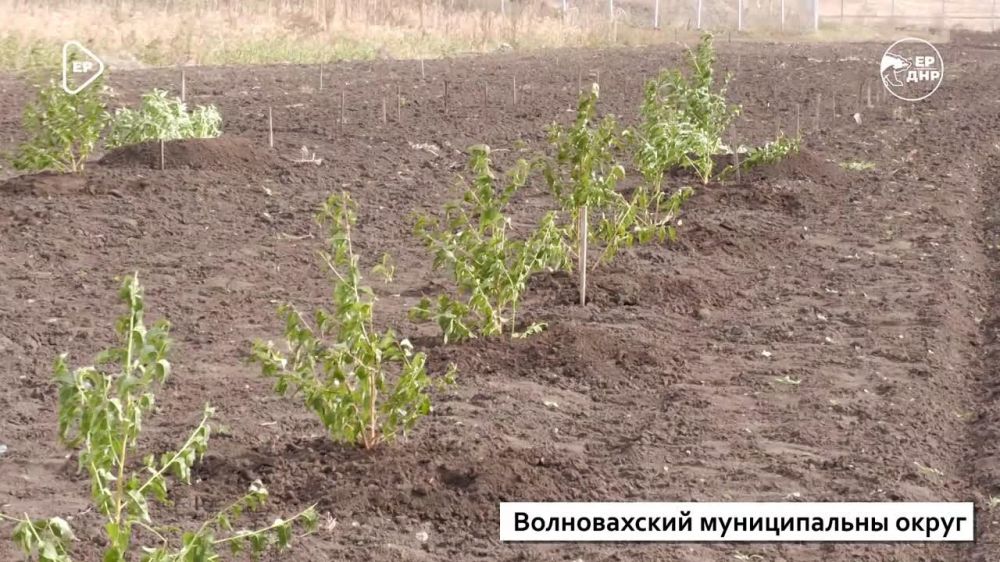 � ����� ���: ������ ���� � ������ �������