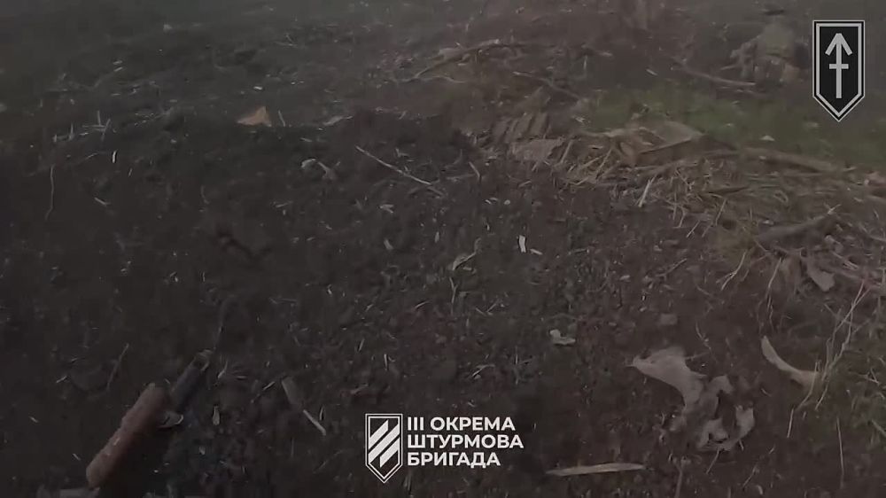 ������� ����������� ������������: