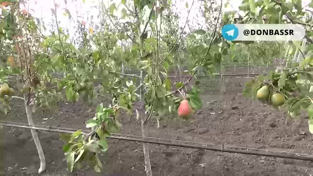 � ����� ������� ��� ����������� ����������� ������������� �������