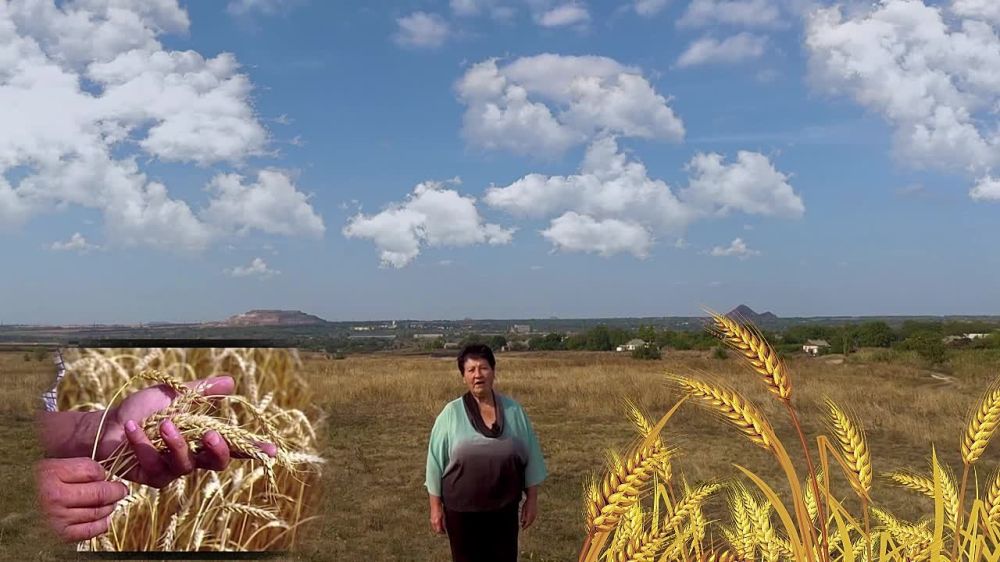 ���� �����������: ���� ���, ������� �� �����