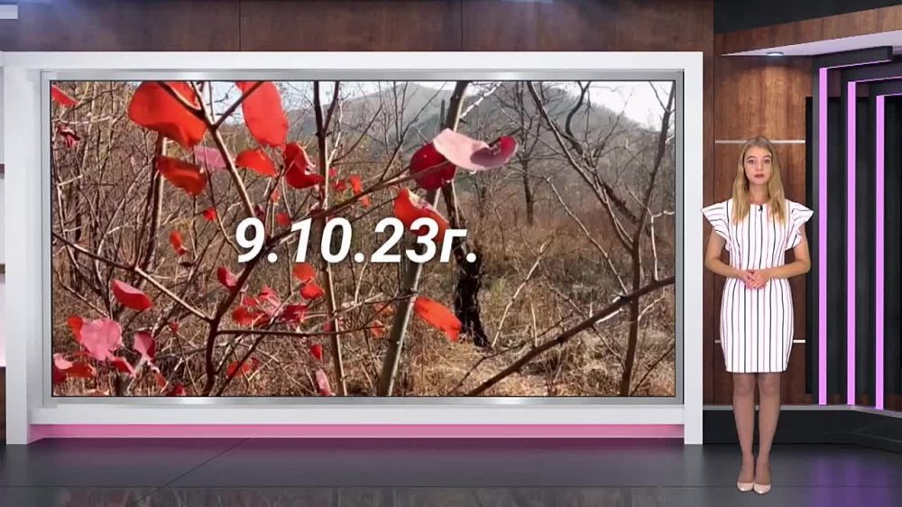 ������� ������ �� 09.10.2023