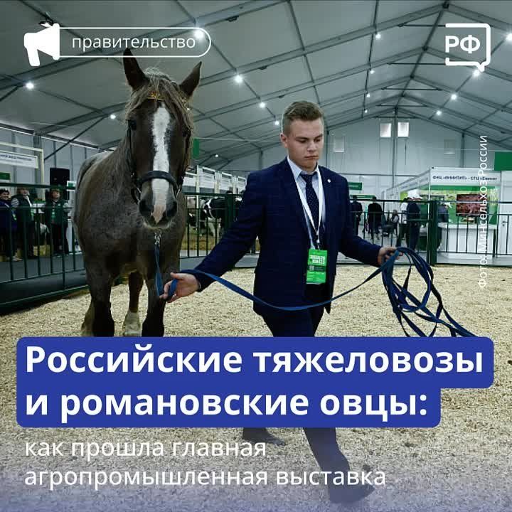 ��������� ��������: ���������������� ��������� ����������� ���� ���������� �� ������� ���������������� �������� �������� ������