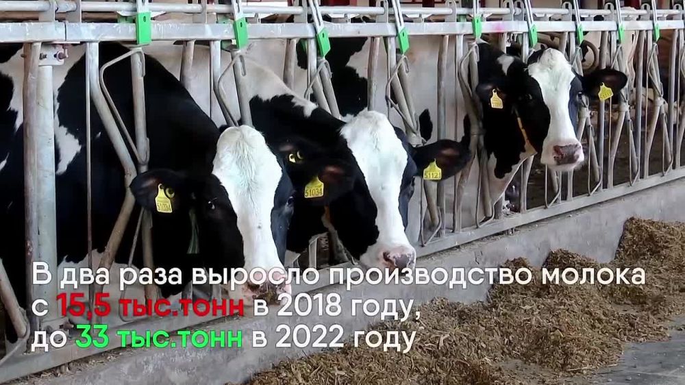 ����� ����������: ��������� ��������� ����� � ����, ���������������� �����������, �������� ����������������� ���������!