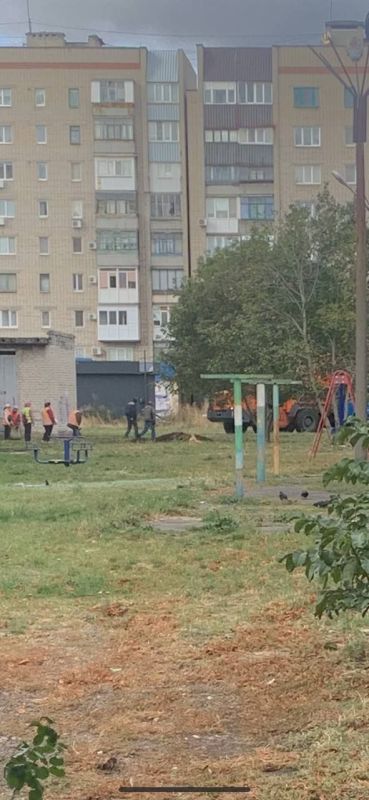 ������� ��������: ����������. ���������� ������������� ����������� ��������� ���. ����������� ������������. ������������...