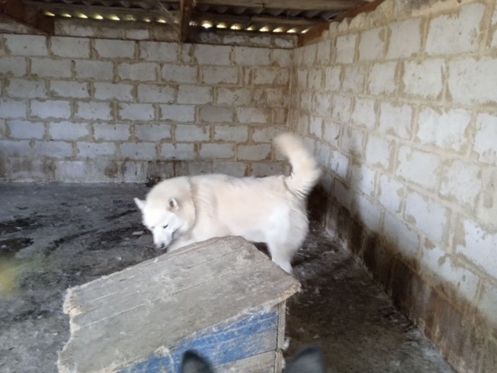 �������� ����������: ������� �� ������ ��� �������� � �����������: