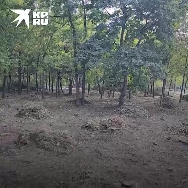 ������� �������� ������� ������: ��� �������������� ���������� ���� � ���������