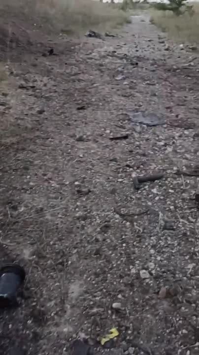 ���������� ������ ������ �������� ����������� �� �������� ����������� - � ������ ��������