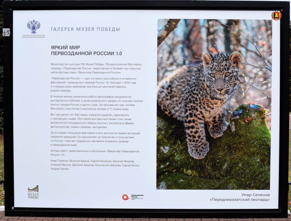 ���������� ������������� �������� ������ � ��� ������� �������� ������ ��� ������������ ������