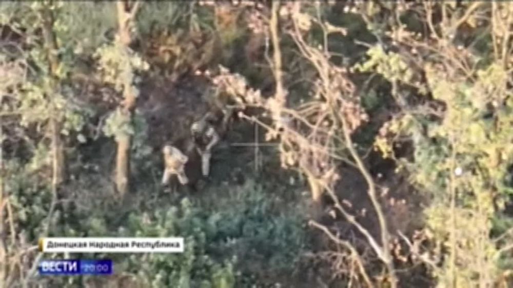 ������ ��������: � �� ����������� �����������, � ���� ��������������� 98��� ����������� �����