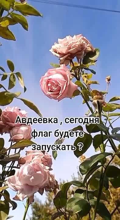 �������� ����������: �� �������� ������� ���� �� ����� ���������?