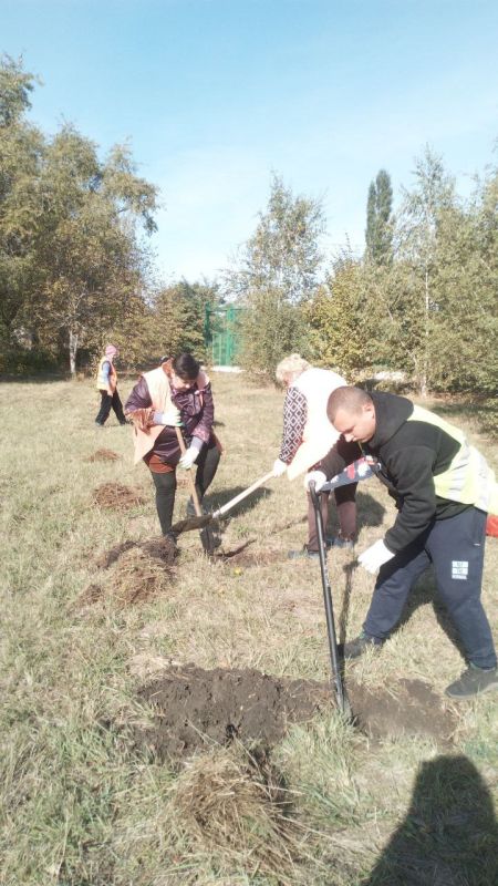 ���� �����������: �������, 10 �������, ������ ������������ ����������� ���� ��������� ������ �� ��������� ������� � ������� �� ���������� �. �������: