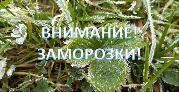 ������� �������: ��������� ��������������. ����� � ����� 11 � 12 ������� 2023 ���� � �������� �������� ����������