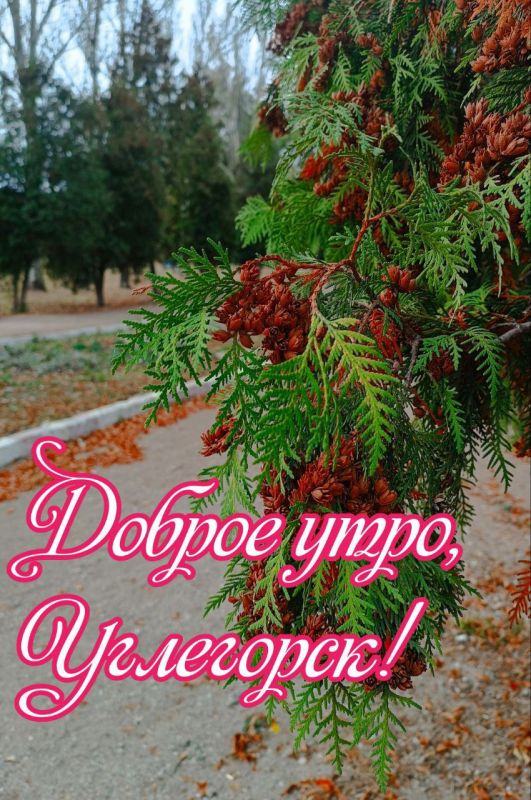 ������ �������: ������ ����. ������ ������� ������� � ���������� ����������� � ���, ��� �� ���������� ���������. ����� ��� ���� ����� ������� ������� ��� ������ � ��������� ���!