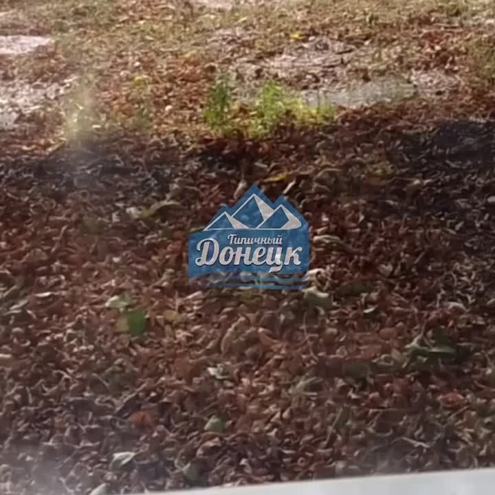 ���������� ����� ������� ��������� ����� �����