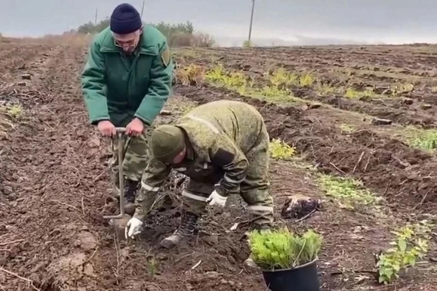 ����������� �������� ��������� �������� ����� 250 �� ���� � ���