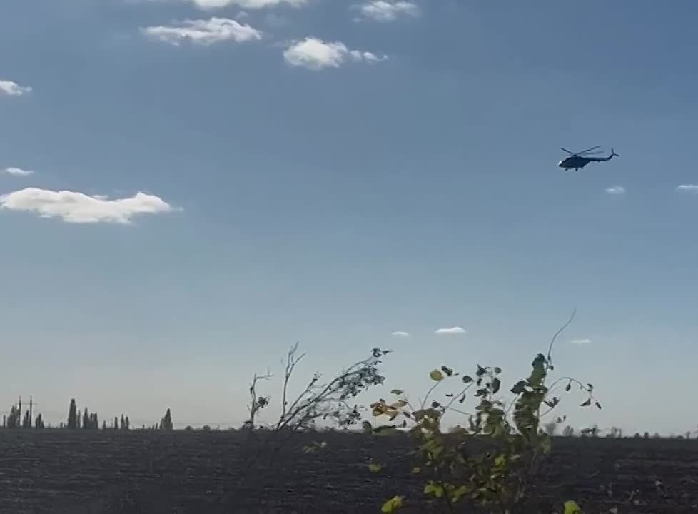 ����� � ��������. ����������. ��� ������ � ������� ������