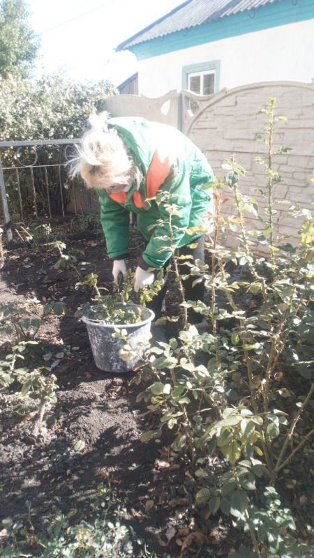 ���� �����������: �������, 11 �������, ������ ������������ ����������� ���� ��������� ������ �� ��������� ������� � ������� �� ���������� �. �������: