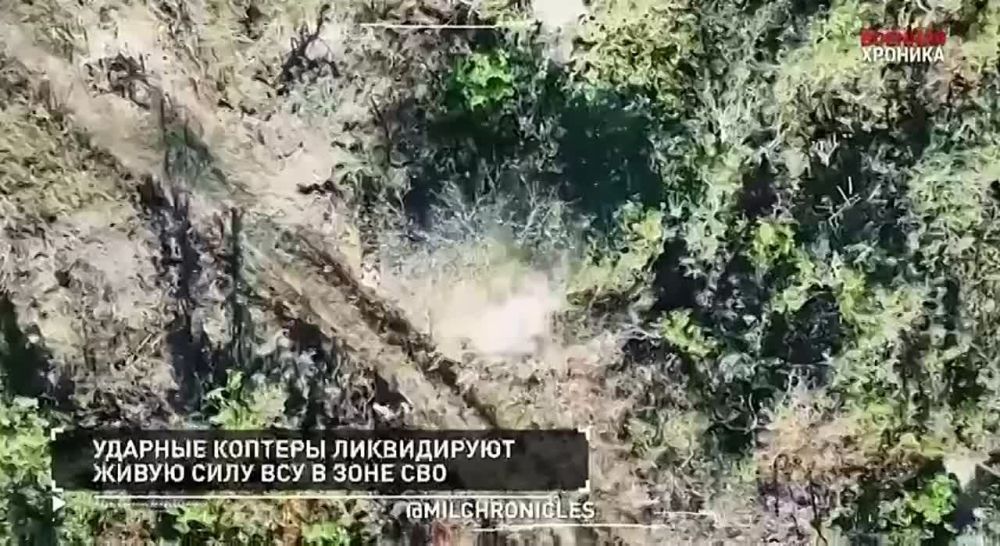 10 �������, ������� �������
