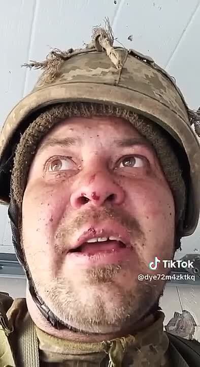 ������� ������: ���������� ���i������ ��� ���������� ������